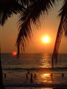 Kovalam Beach sunset and palm trees